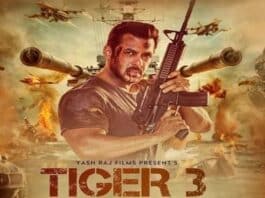 Tiger 3 को लेकर सलमान खान ने किया बड़ा अनाउंसमेंट, पढ़ें रिपोर्ट